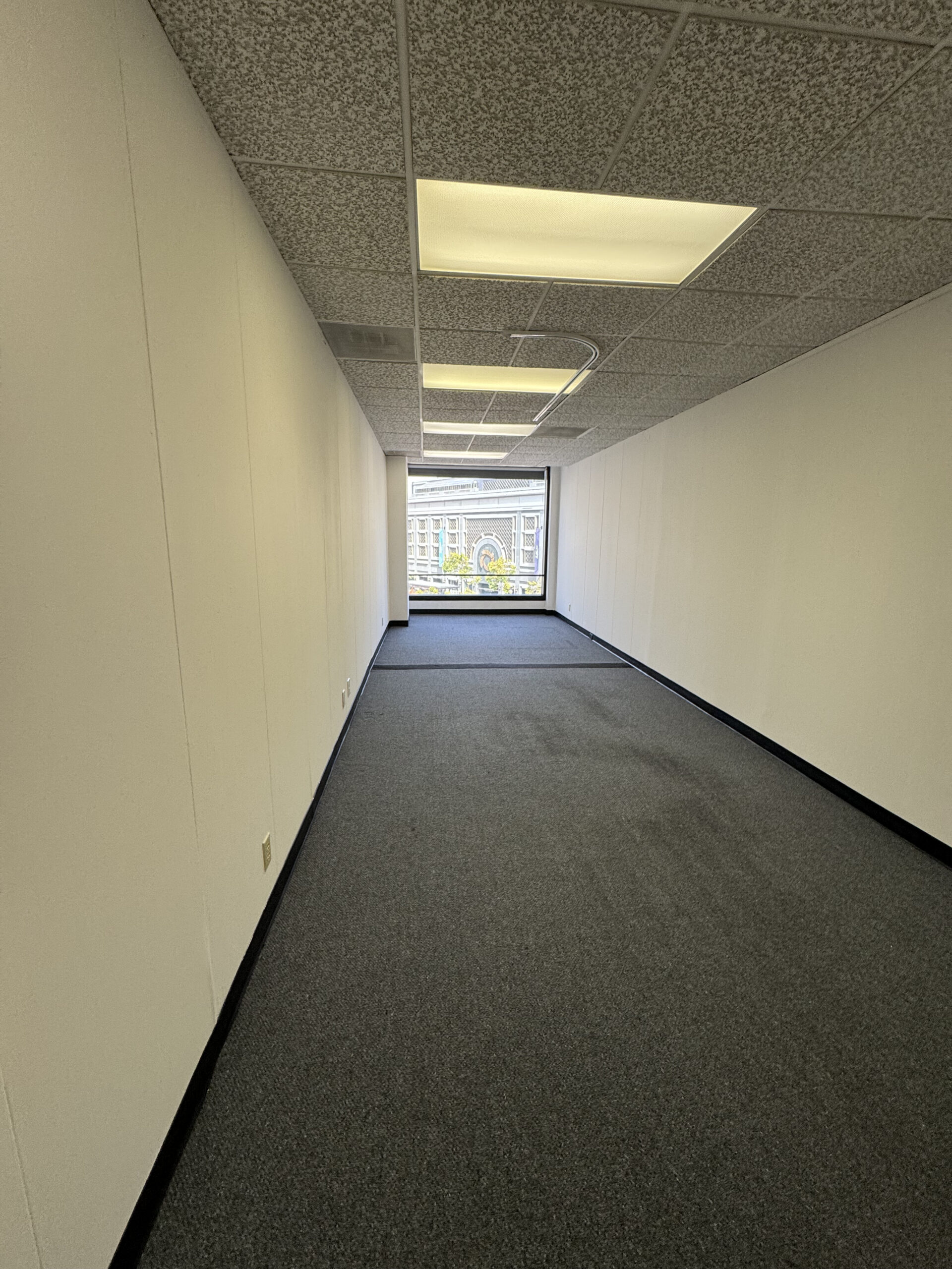 Suite 404B office interior with blue carpet